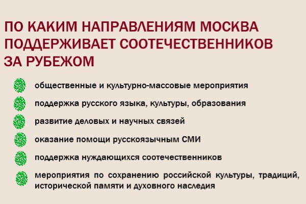 IKA_1.jpg