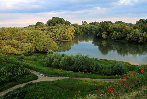 Кубань, река Протока .jpg