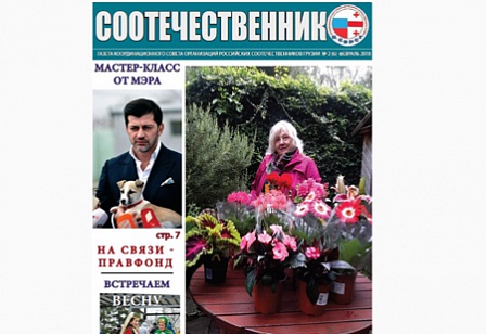 картинка
