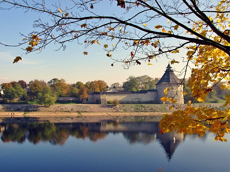 картинка