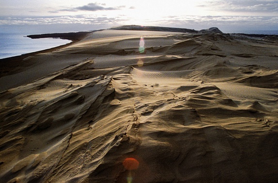 Калининградская область. Куршская коса – национальный парк России. Фото Игоря Зарембы